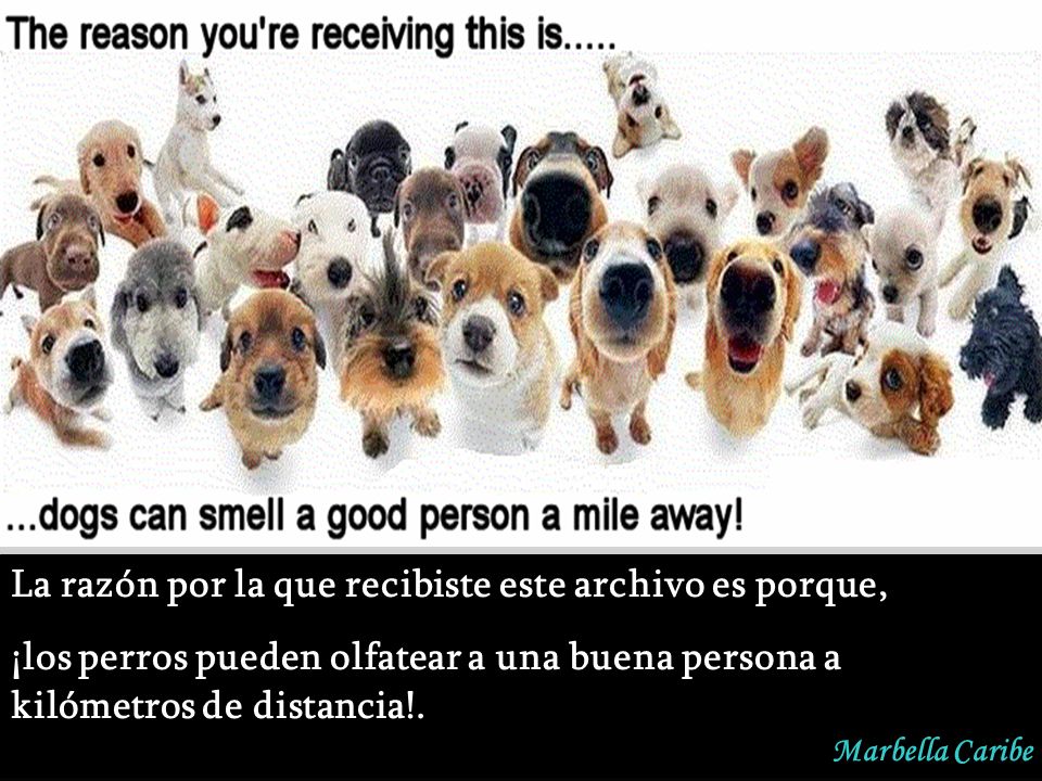 La razón por la que recibiste este archivo es porque,