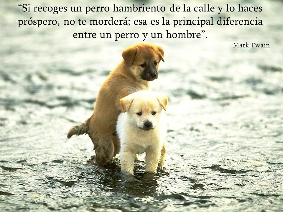 Si recoges un perro hambriento de la calle y lo haces próspero, no te morderá; esa es la principal diferencia entre un perro y un hombre .