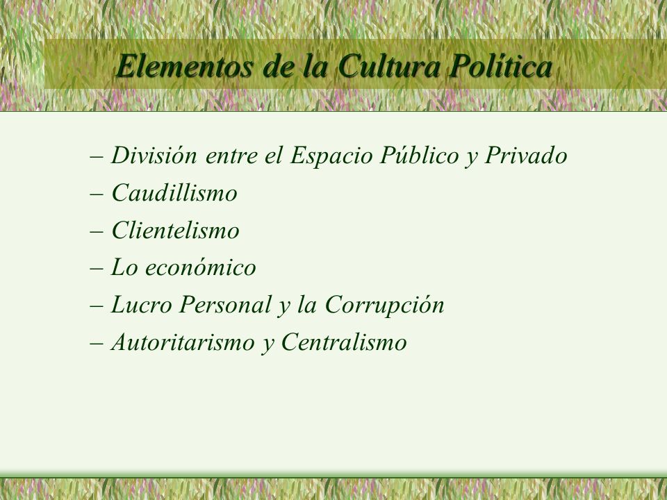 Elementos de la Cultura Política