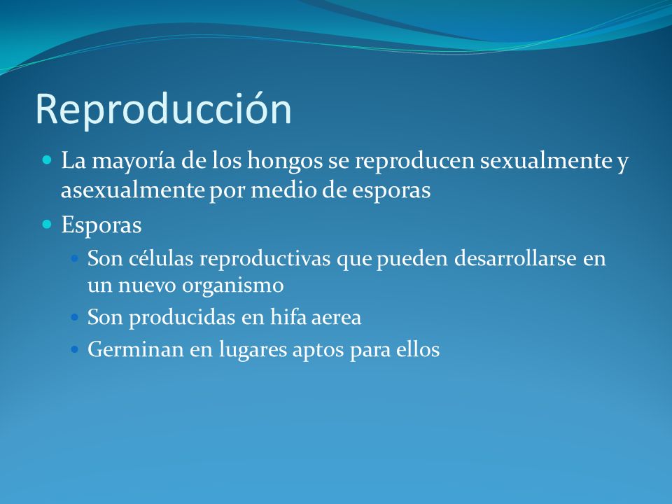 Reproducción La mayoría de los hongos se reproducen sexualmente y asexualmente por medio de esporas.