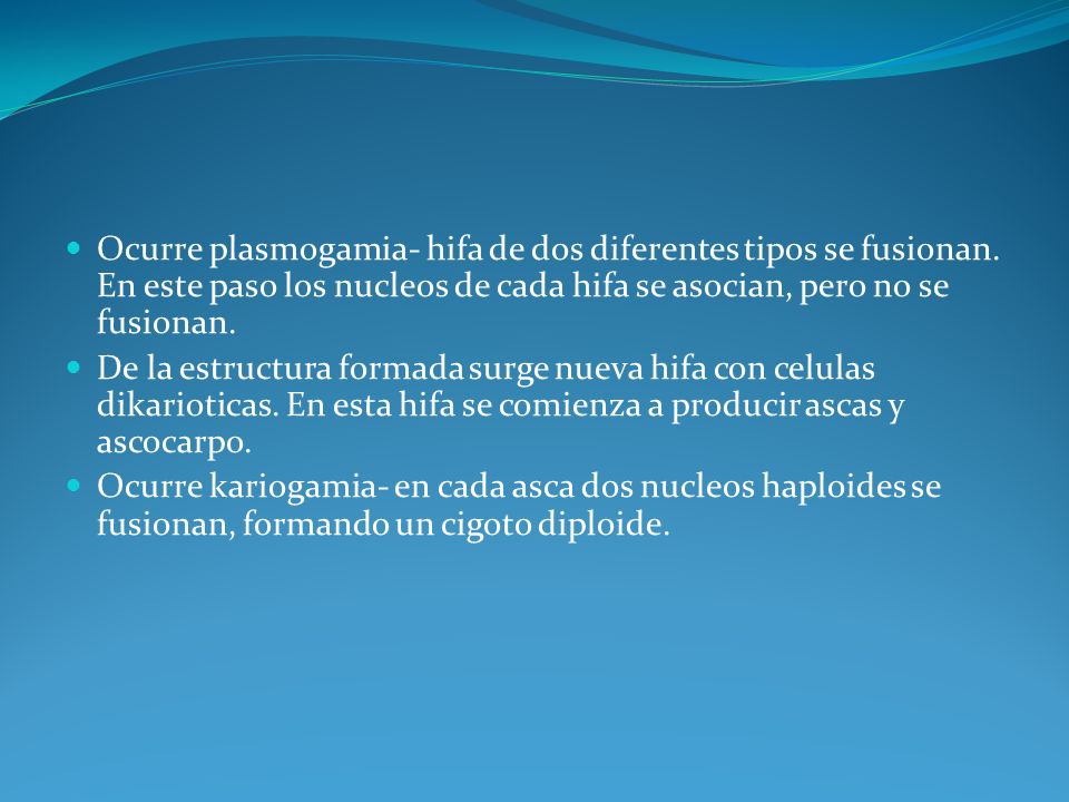 Ocurre plasmogamia- hifa de dos diferentes tipos se fusionan