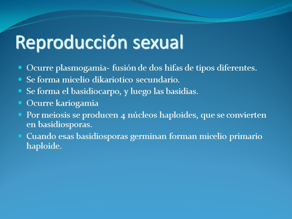 Reproducción sexual Ocurre plasmogamia- fusión de dos hifas de tipos diferentes. Se forma micelio dikariotico secundario.