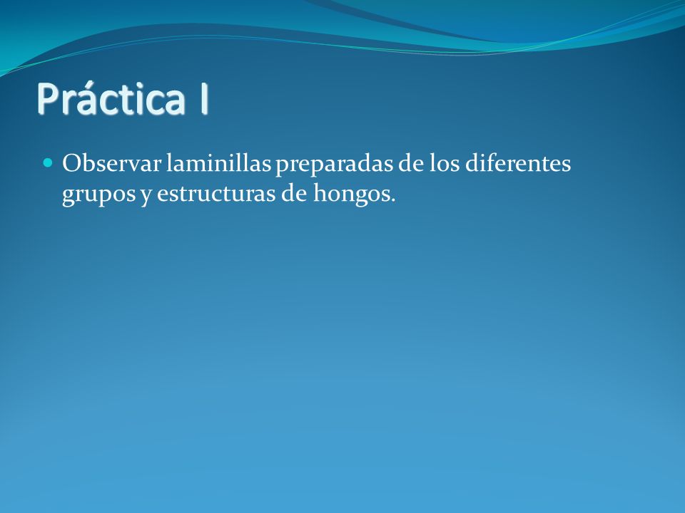 Práctica I Observar laminillas preparadas de los diferentes grupos y estructuras de hongos.