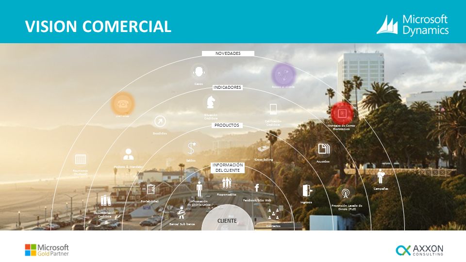 VISION COMERCIAL CLIENTE NOVEDADES INDICADORES PRODUCTOS