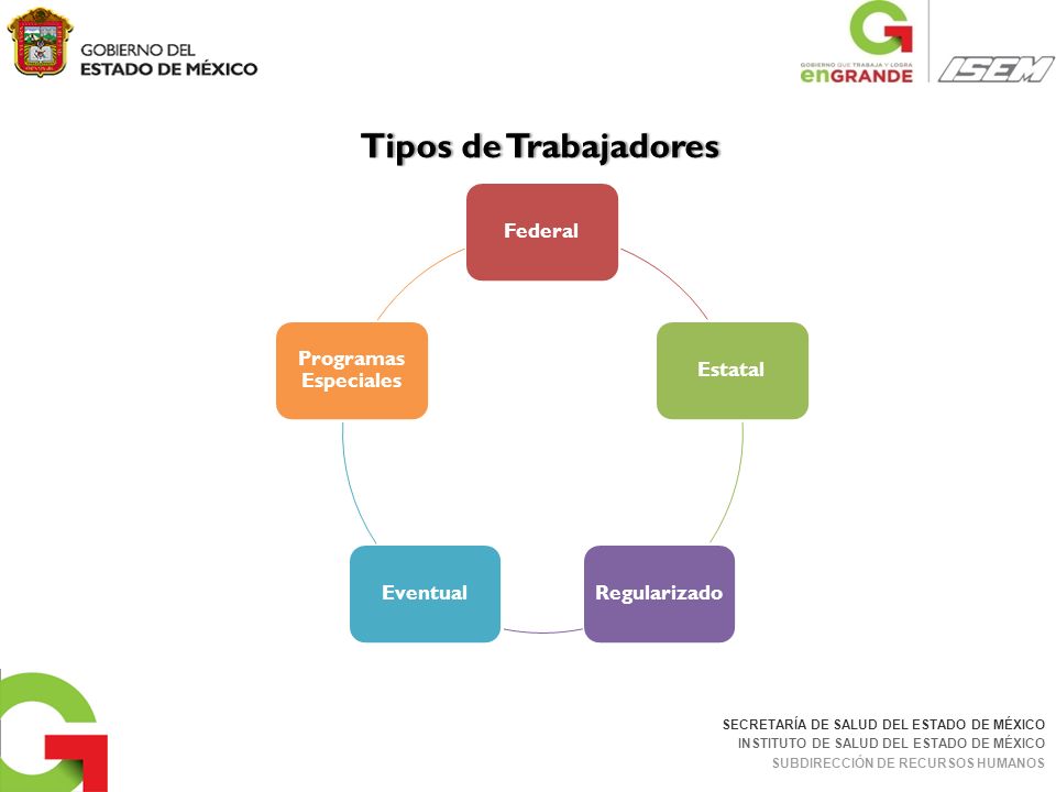 Tipos de Trabajadores Federal. Estatal. Regularizado. Eventual. Programas Especiales.