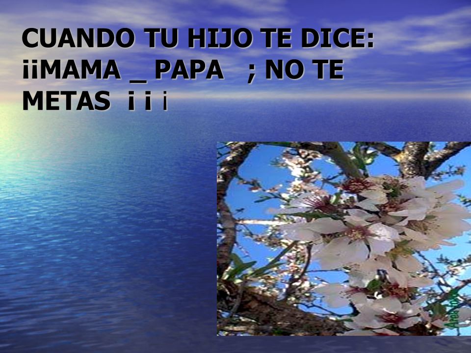 CUANDO TU HIJO TE DICE: ¡¡MAMA _ PAPA ; NO TE METAS ¡ ¡ ¡