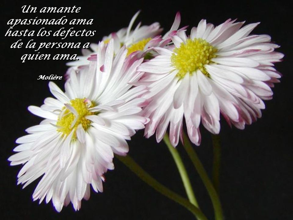 Un amante apasionado ama hasta los defectos de la persona a quien ama.