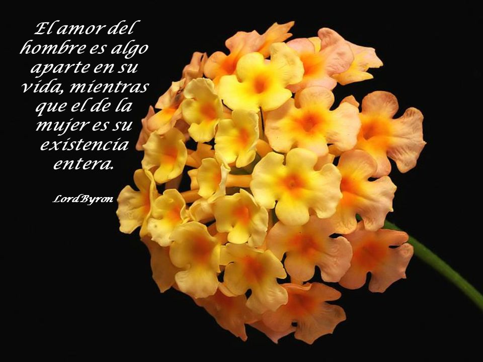 El amor del hombre es algo aparte en su vida, mientras que el de la mujer es su existencia entera.
