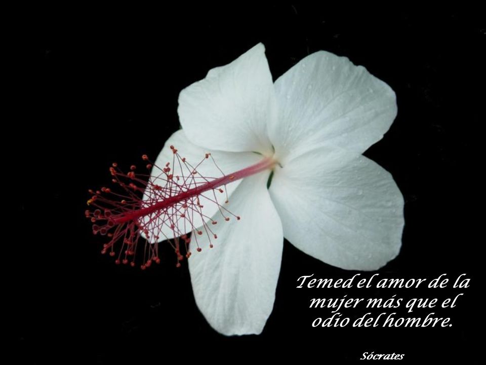 Temed el amor de la mujer más que el odio del hombre.