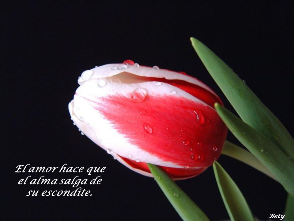 El amor hace que el alma salga de su escondite.