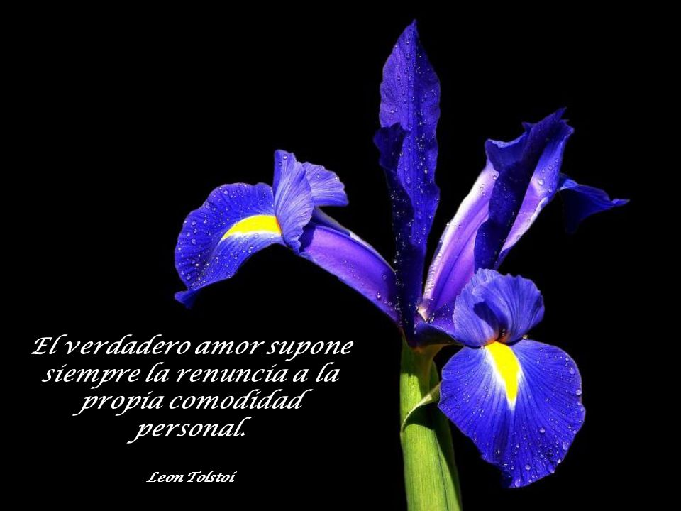 El verdadero amor supone siempre la renuncia a la propia comodidad personal.