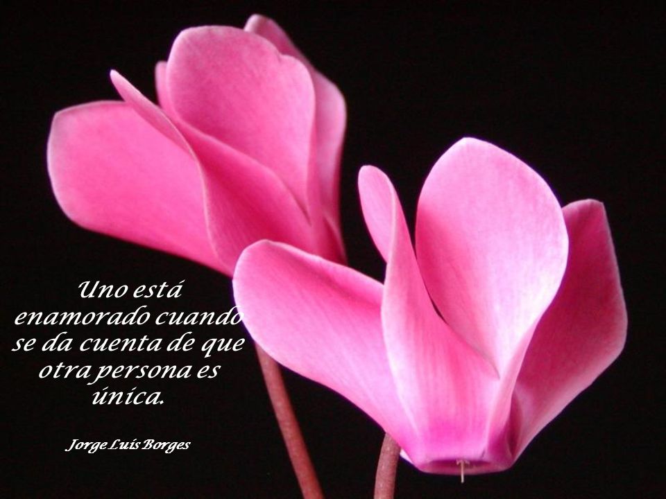 Uno está enamorado cuando se da cuenta de que otra persona es única.