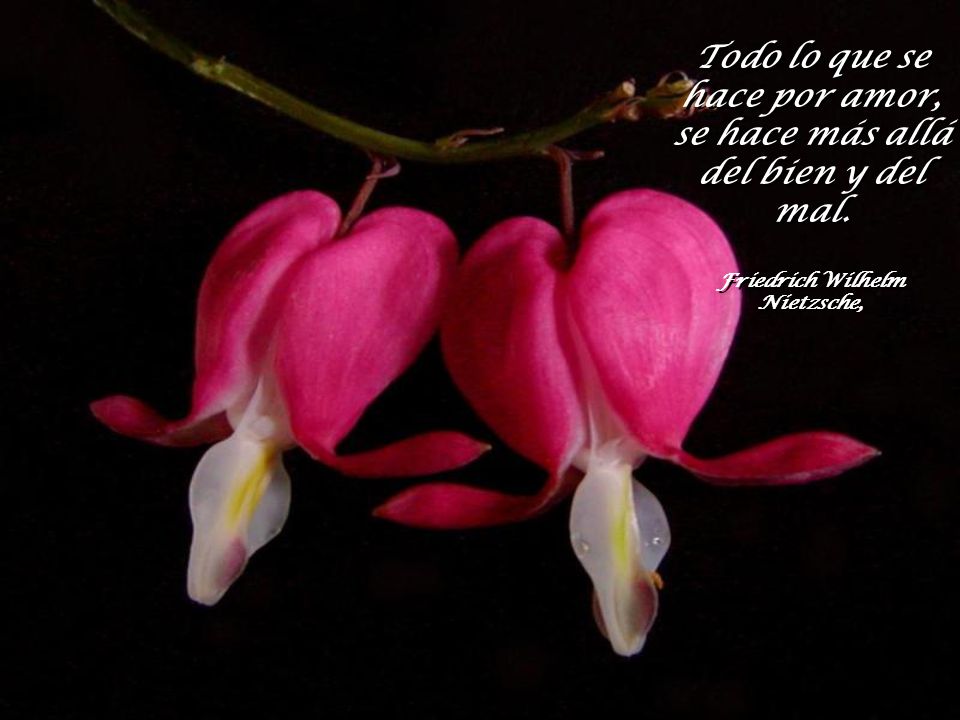 Todo lo que se hace por amor, se hace más allá del bien y del mal.
