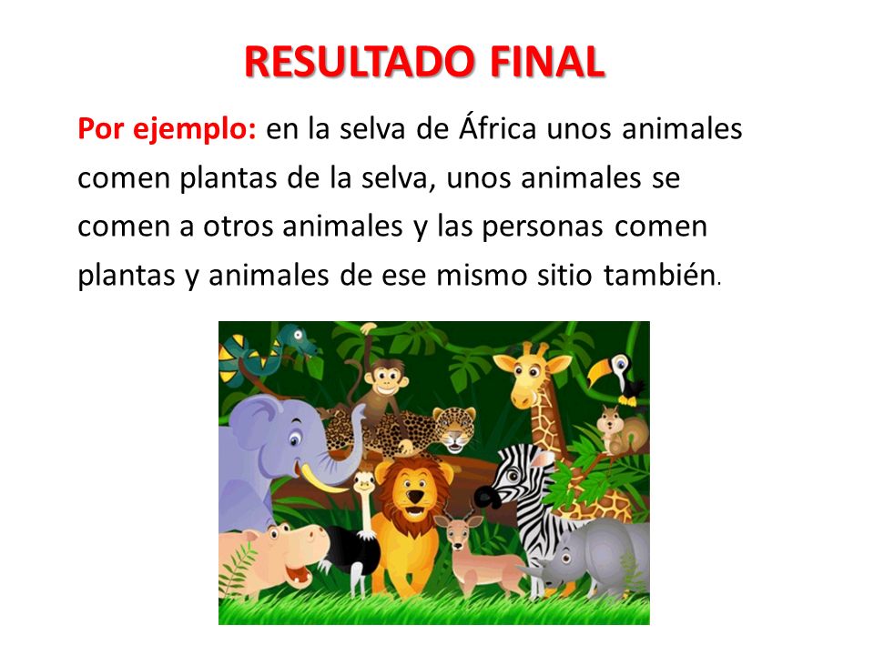 RESULTADO FINAL Por ejemplo: en la selva de África unos animales