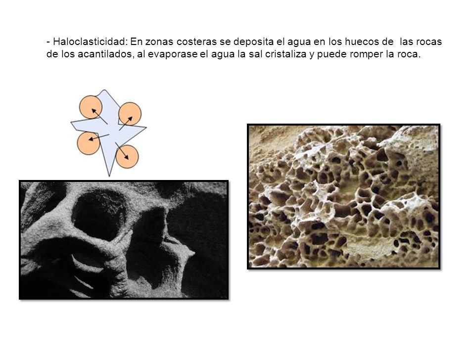 - Haloclasticidad: En zonas costeras se deposita el agua en los huecos de las rocas de los acantilados, al evaporase el agua la sal cristaliza y puede romper la roca.