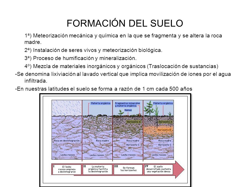 FORMACIÓN DEL SUELO 1ª) Meteorización mecánica y química en la que se fragmenta y se altera la roca madre.
