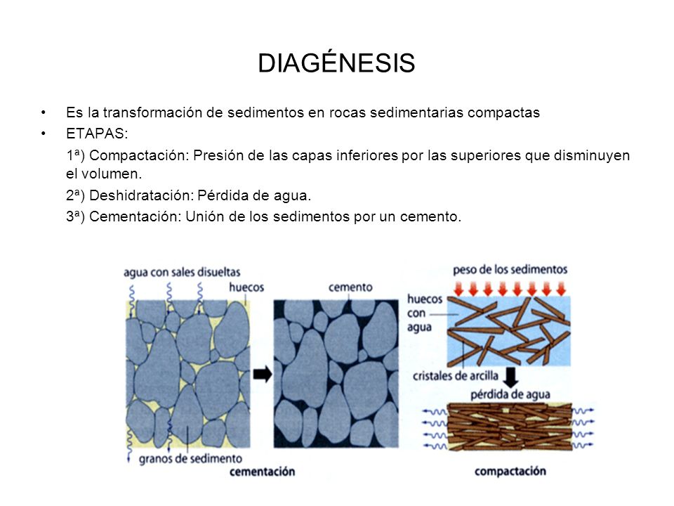 DIAGÉNESIS Es la transformación de sedimentos en rocas sedimentarias compactas. ETAPAS: