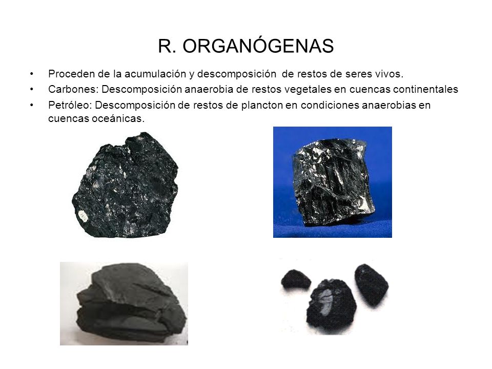 R. ORGANÓGENAS Proceden de la acumulación y descomposición de restos de seres vivos.