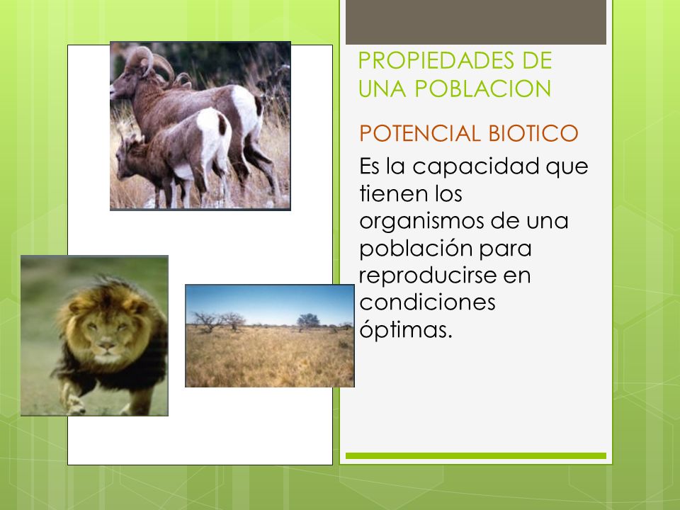 Resultado de imagen para potencial biotico