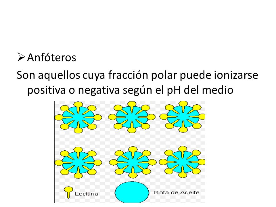 Anfóteros Son aquellos cuya fracción polar puede ionizarse positiva o negativa según el pH del medio.