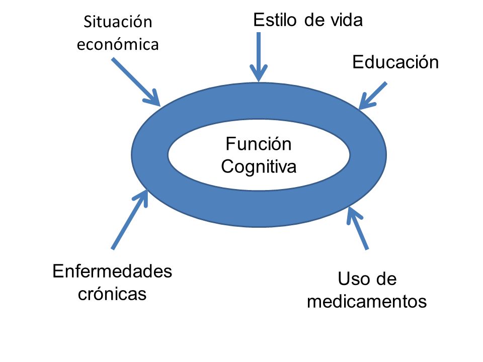 Situación económica. Estilo de vida. Educación. Función. Cognitiva. Enfermedades. crónicas. Uso de.
