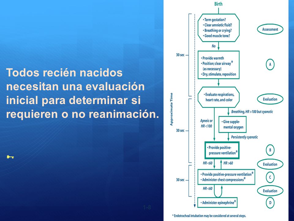 Todos recién nacidos necesitan una evaluación inicial para determinar si requieren o no reanimación.
