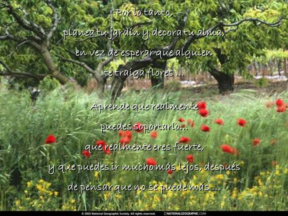 planea tu jardín y decora tu alma, en vez de esperar que alguien