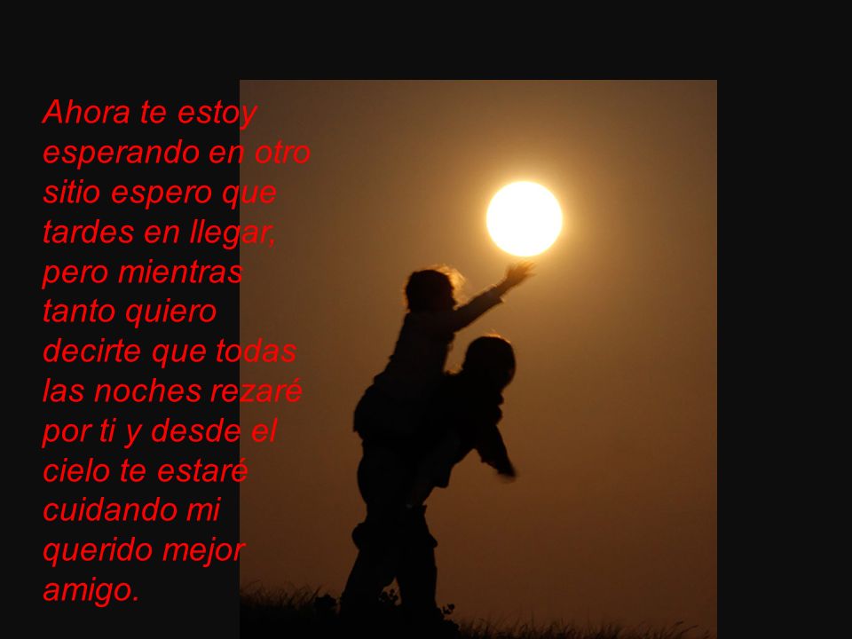 Ahora te estoy esperando en otro sitio espero que tardes en llegar, pero mientras tanto quiero decirte que todas las noches rezaré por ti y desde el cielo te estaré cuidando mi querido mejor amigo.