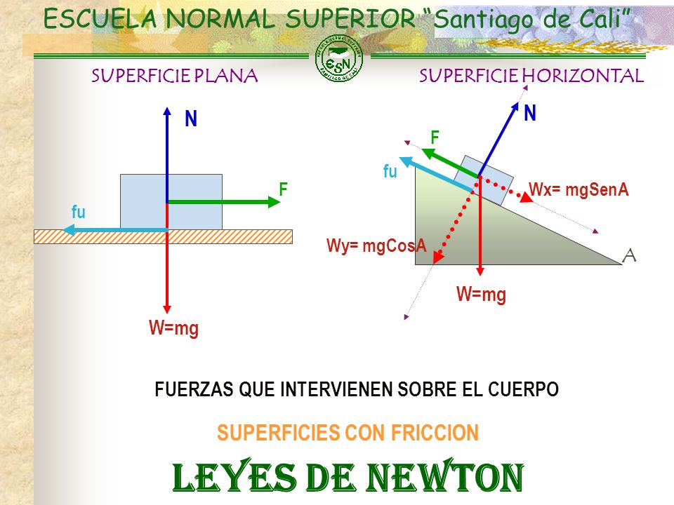 LEYES DE NEWTON ESCUELA NORMAL SUPERIOR Santiago de Cali N N