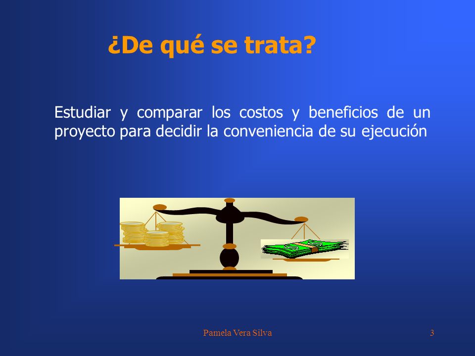 ¿De qué se trata Estudiar y comparar los costos y beneficios de un proyecto para decidir la conveniencia de su ejecución.