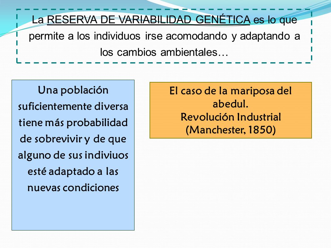 La RESERVA DE VARIABILIDAD GENÉTICA es lo que permite a los individuos irse acomodando y adaptando a los cambios ambientales…