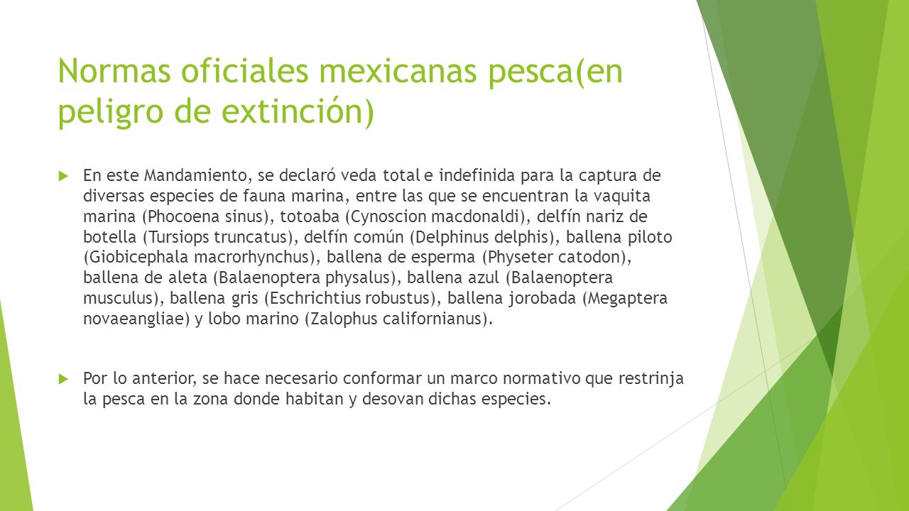 Normas oficiales mexicanas pesca(en peligro de extinción)