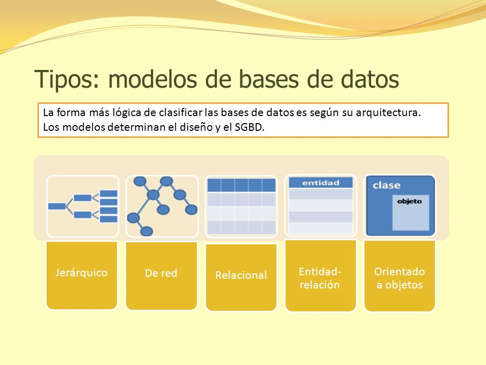 Un modelo de base de datos muestra la estructura lógica de la base
