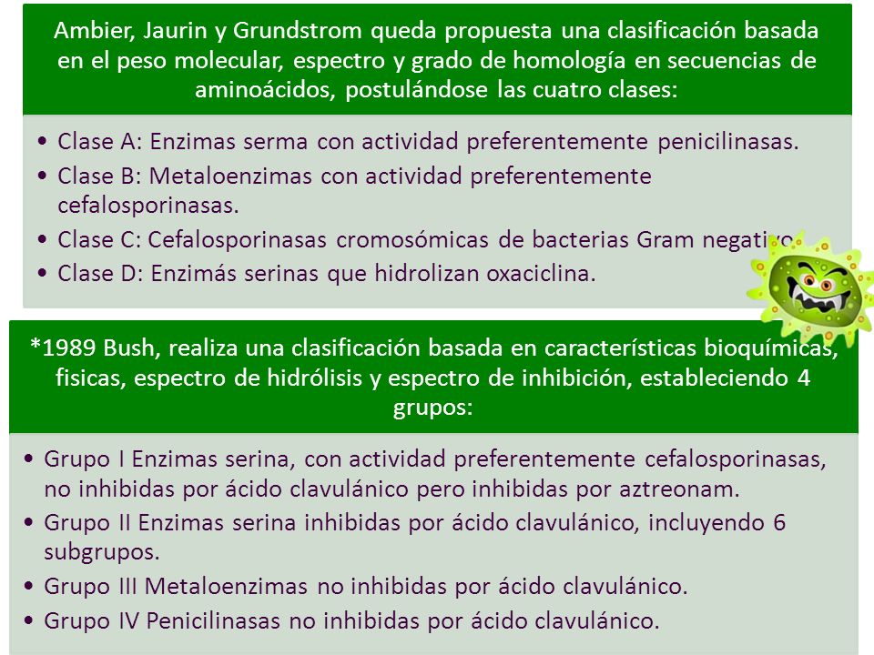 Ambier, Jaurin y Grundstrom queda propuesta una clasificación basada en el peso molecular, espectro y grado de homología en secuencias de aminoácidos, postulándose las cuatro clases: