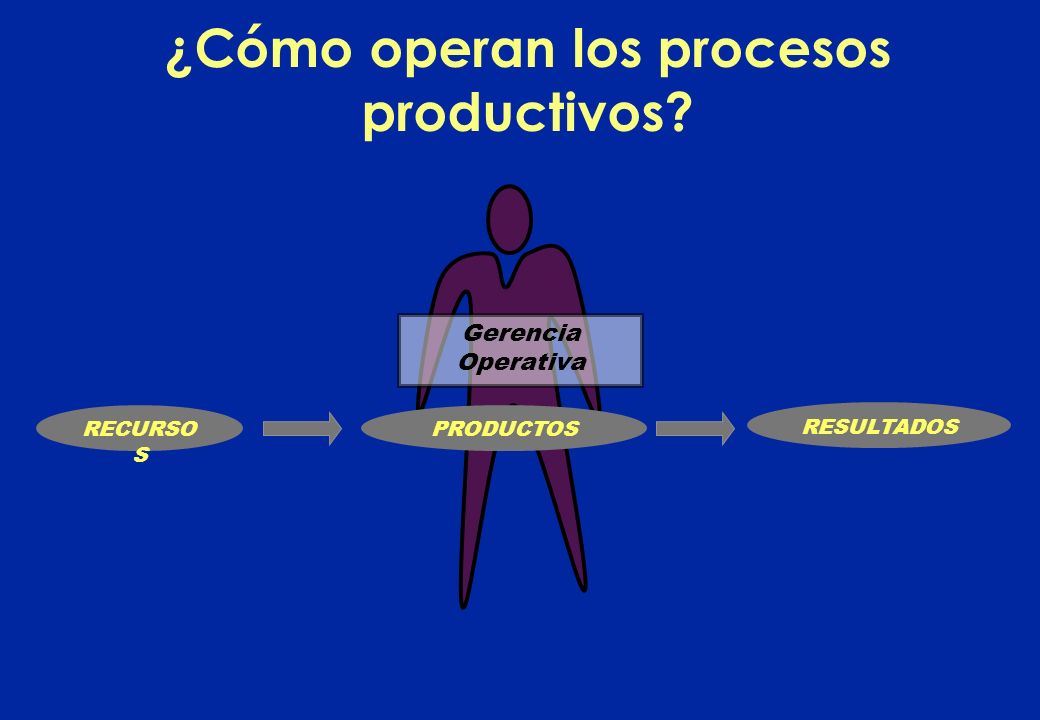 ¿Cómo operan los procesos productivos