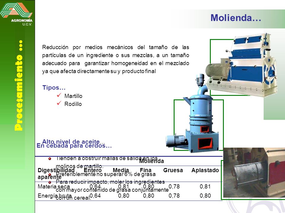 Procesamiento … Molienda… Tipos… Alto nivel de aceite…
