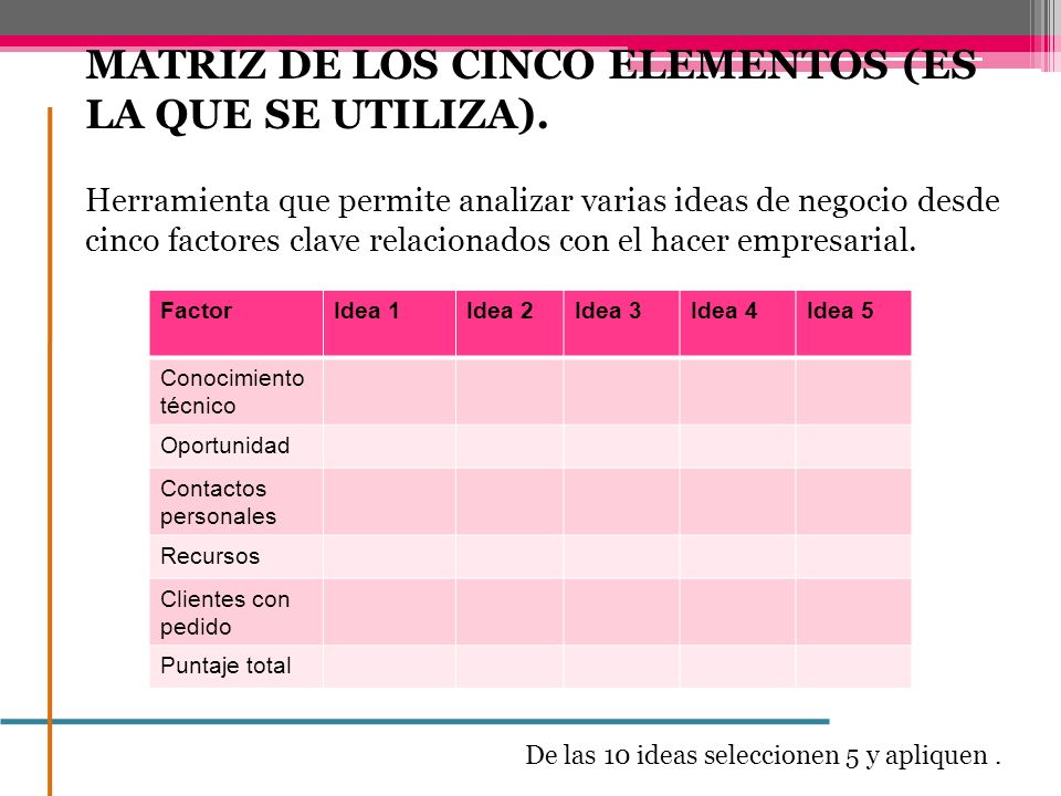 MATRIZ DE LOS CINCO ELEMENTOS (ES LA QUE SE UTILIZA).