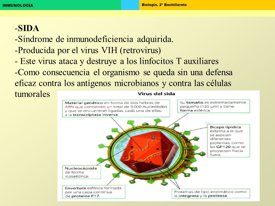 SIDA Síndrome de inmunodeficiencia adquirida. Producida por el virus VIH (retrovirus) Este virus ataca y destruye a los linfocitos T auxiliares.