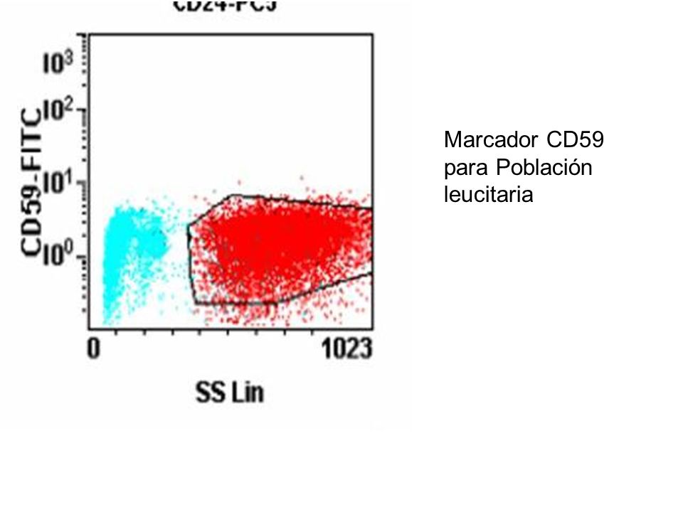 Marcador CD59 para Población leucitaria