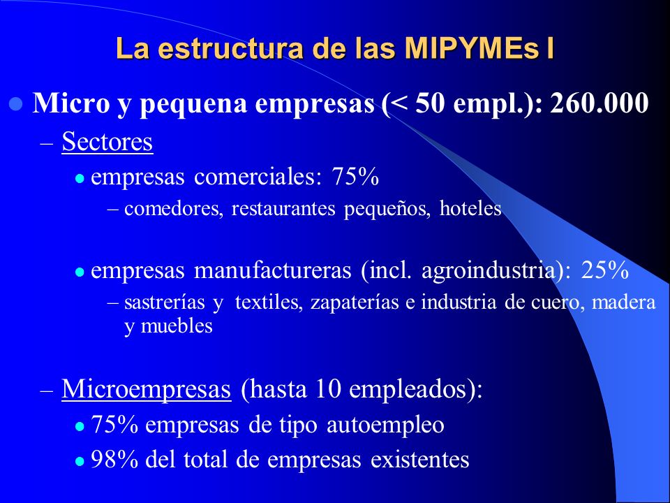 La estructura de las MIPYMEs I