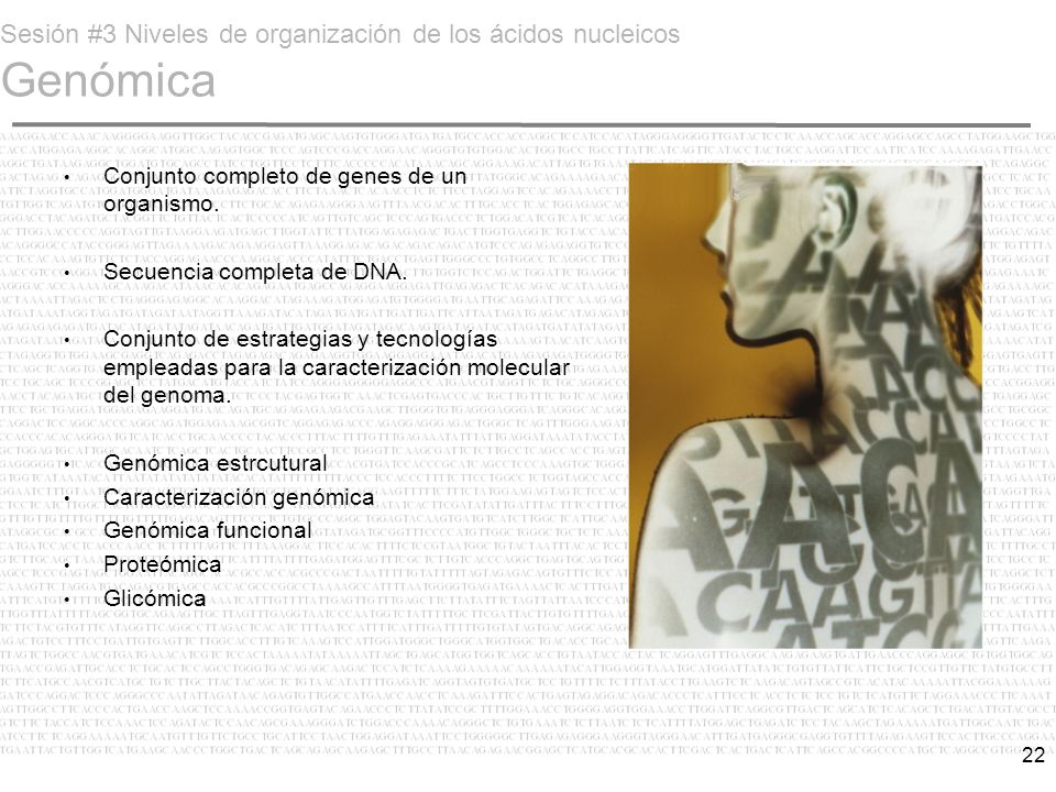 Sesión #3 Niveles de organización de los ácidos nucleicos Genómica