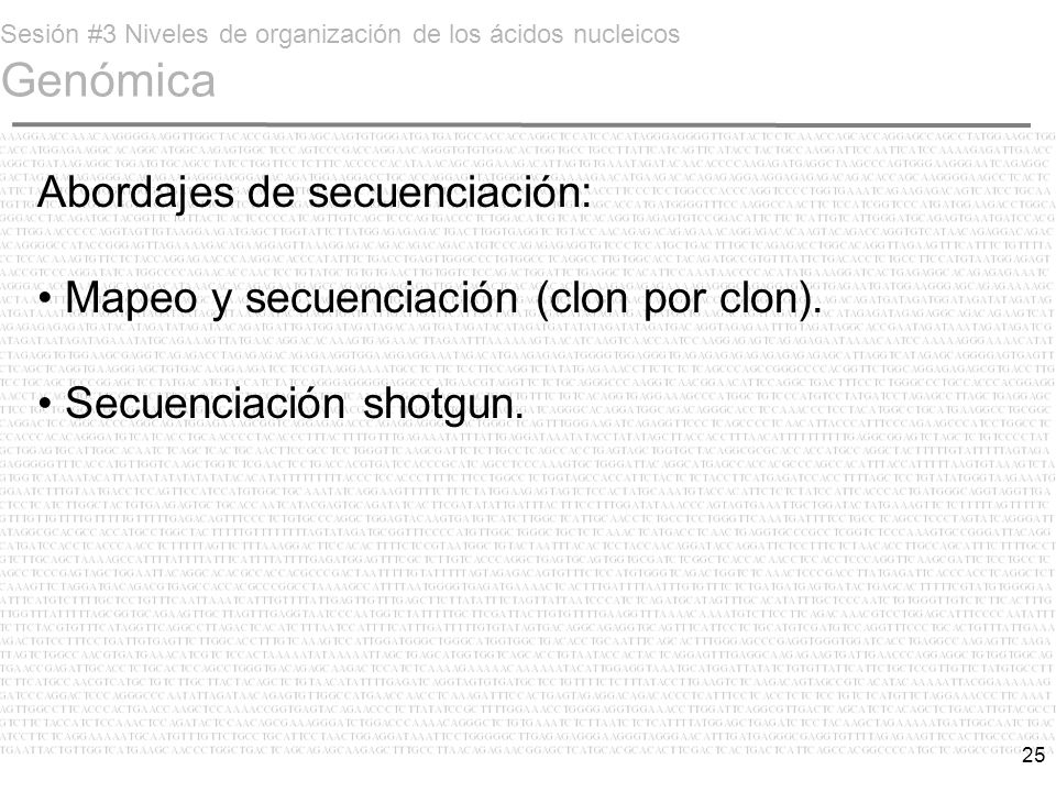 Sesión #3 Niveles de organización de los ácidos nucleicos Genómica
