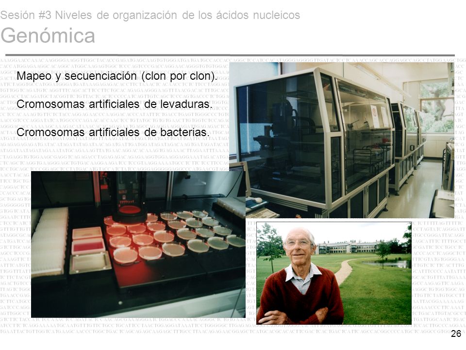 Sesión #3 Niveles de organización de los ácidos nucleicos Genómica