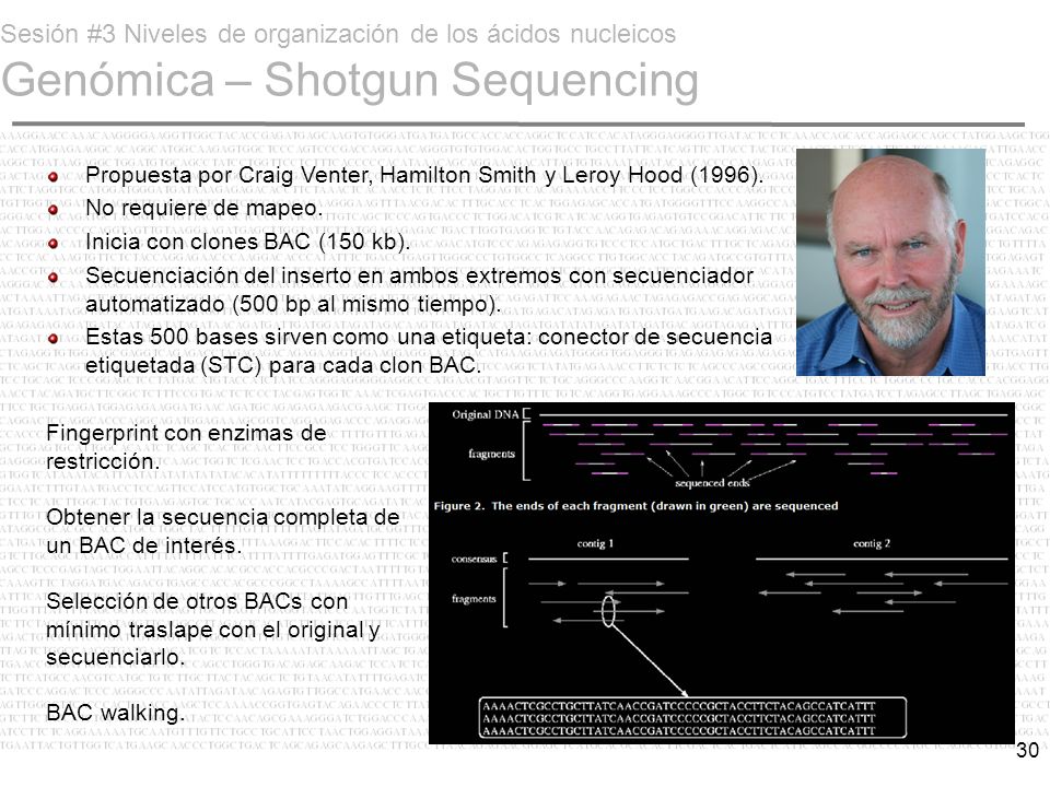 Sesión #3 Niveles de organización de los ácidos nucleicos Genómica – Shotgun Sequencing