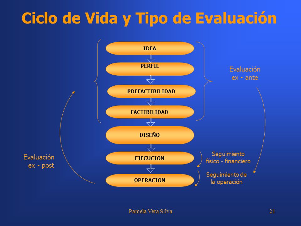 Ciclo de Vida y Tipo de Evaluación
