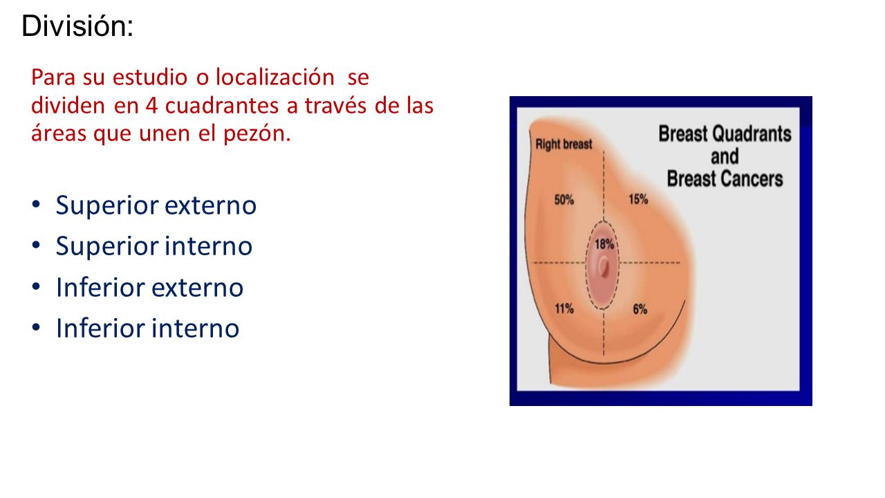 División: Superior externo Superior interno Inferior externo