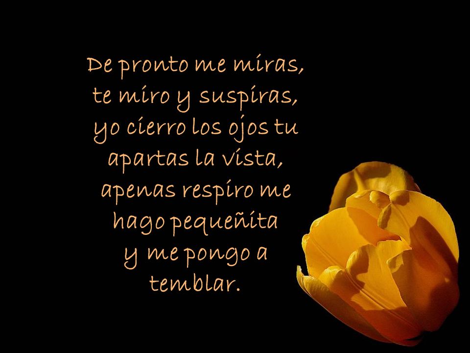 De pronto me miras, te miro y suspiras, yo cierro los ojos tu apartas la vista, apenas respiro me hago pequeñita y me pongo a temblar.