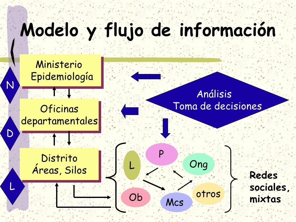 Modelo y flujo de información