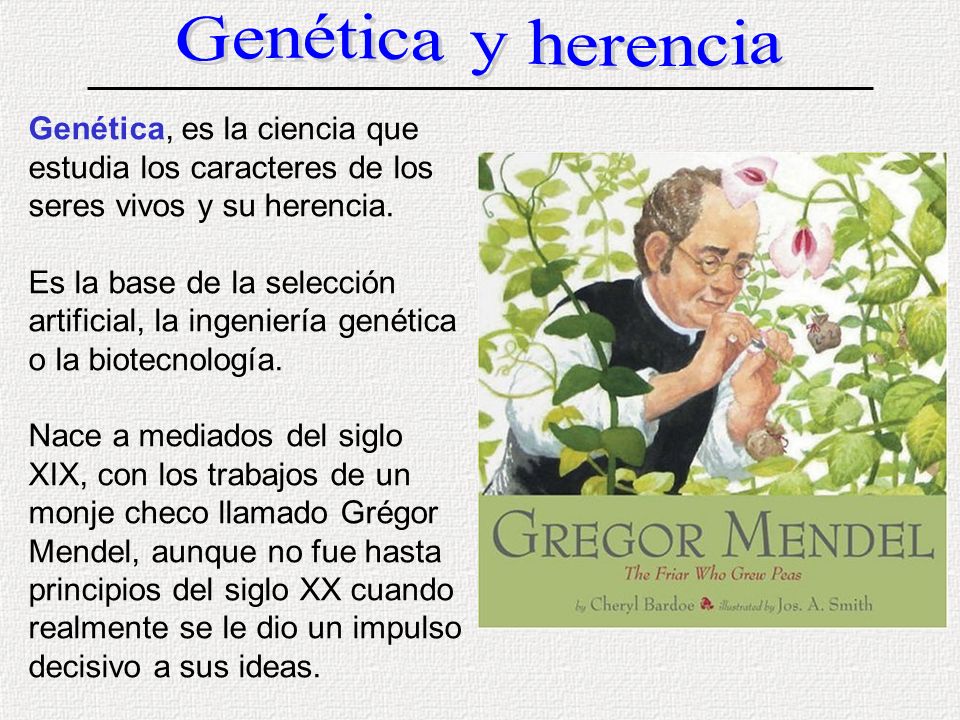 Genética y herencia Genética, es la ciencia que estudia los caracteres de los seres vivos y su herencia.