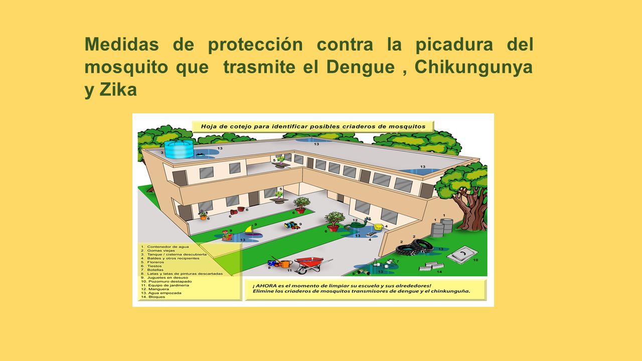 Medidas de protección contra la picadura del mosquito que trasmite el Dengue , Chikungunya y Zika